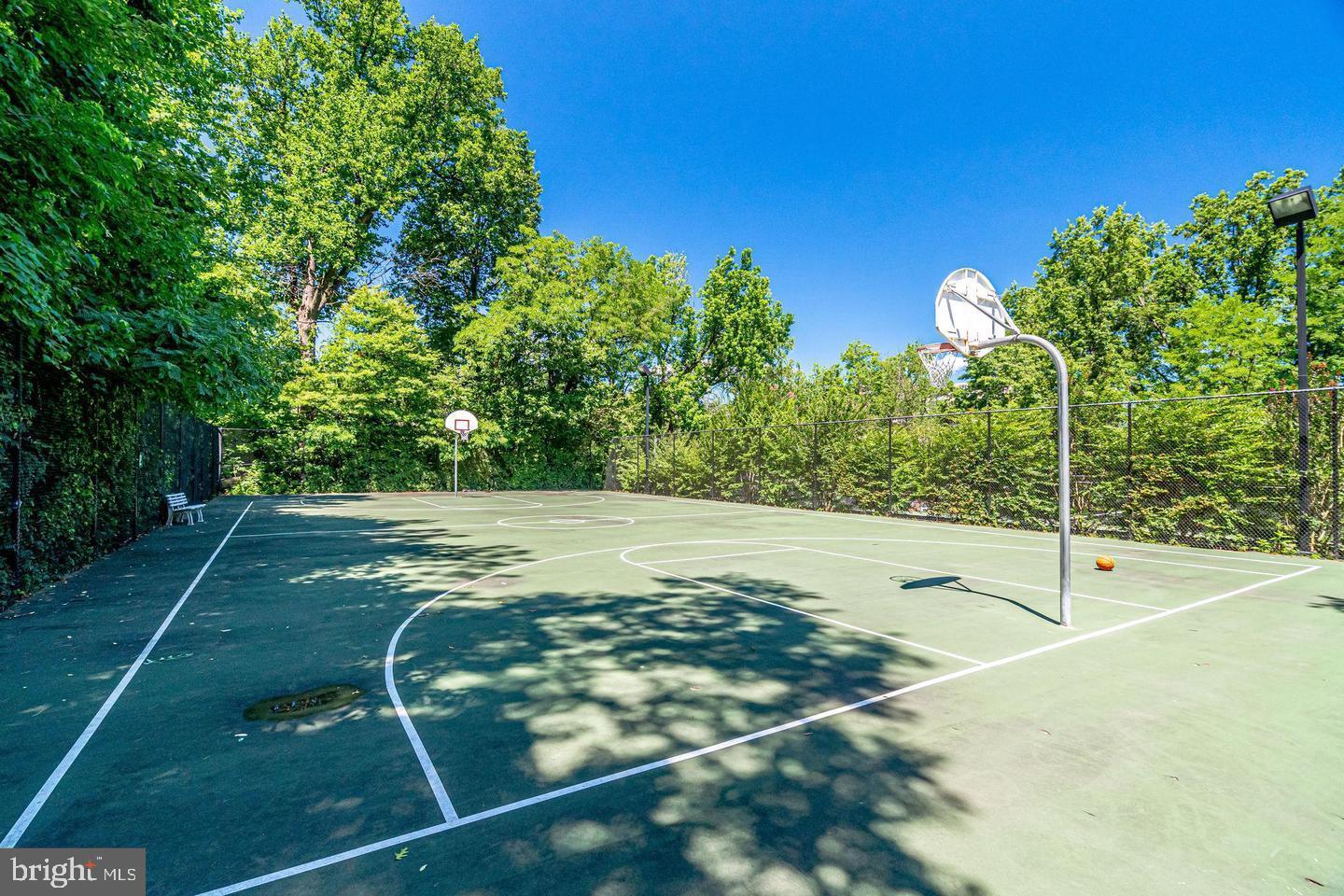 1710 Preston Road Alexandria, VA 22302 - Photo 22 of 34 And a basketball court.