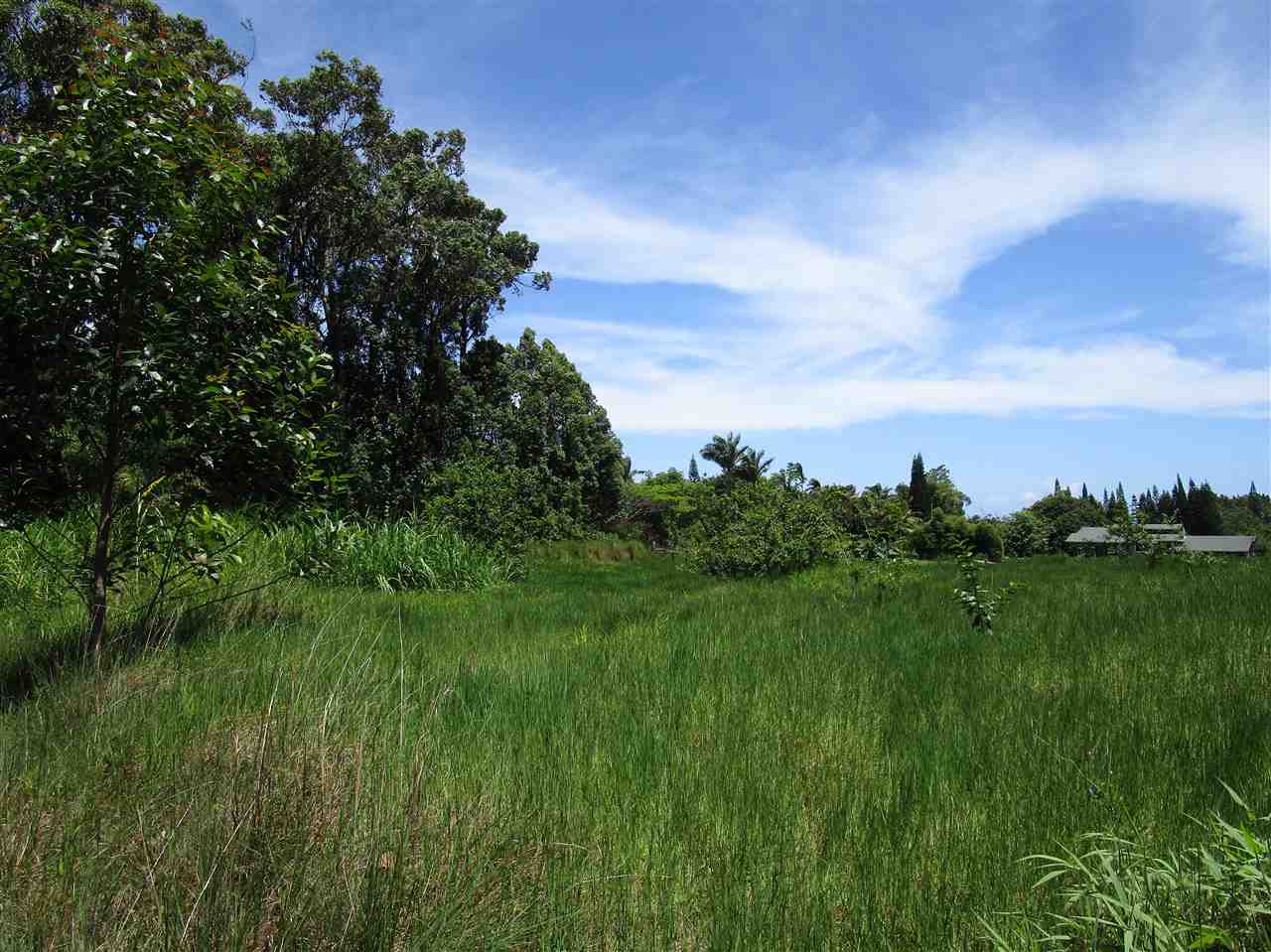 0 East Kuiaha Road Haiku, HI 96708 - Photo 1 of 12 a view of a garden with a lake