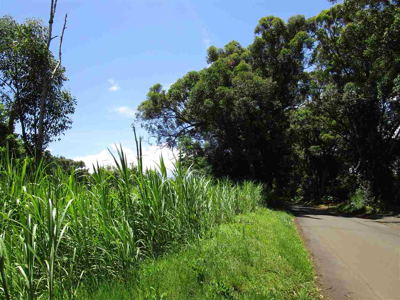 0 East Kuiaha Road Haiku, HI 96708 - Photo 11 of 12 a view of a garden