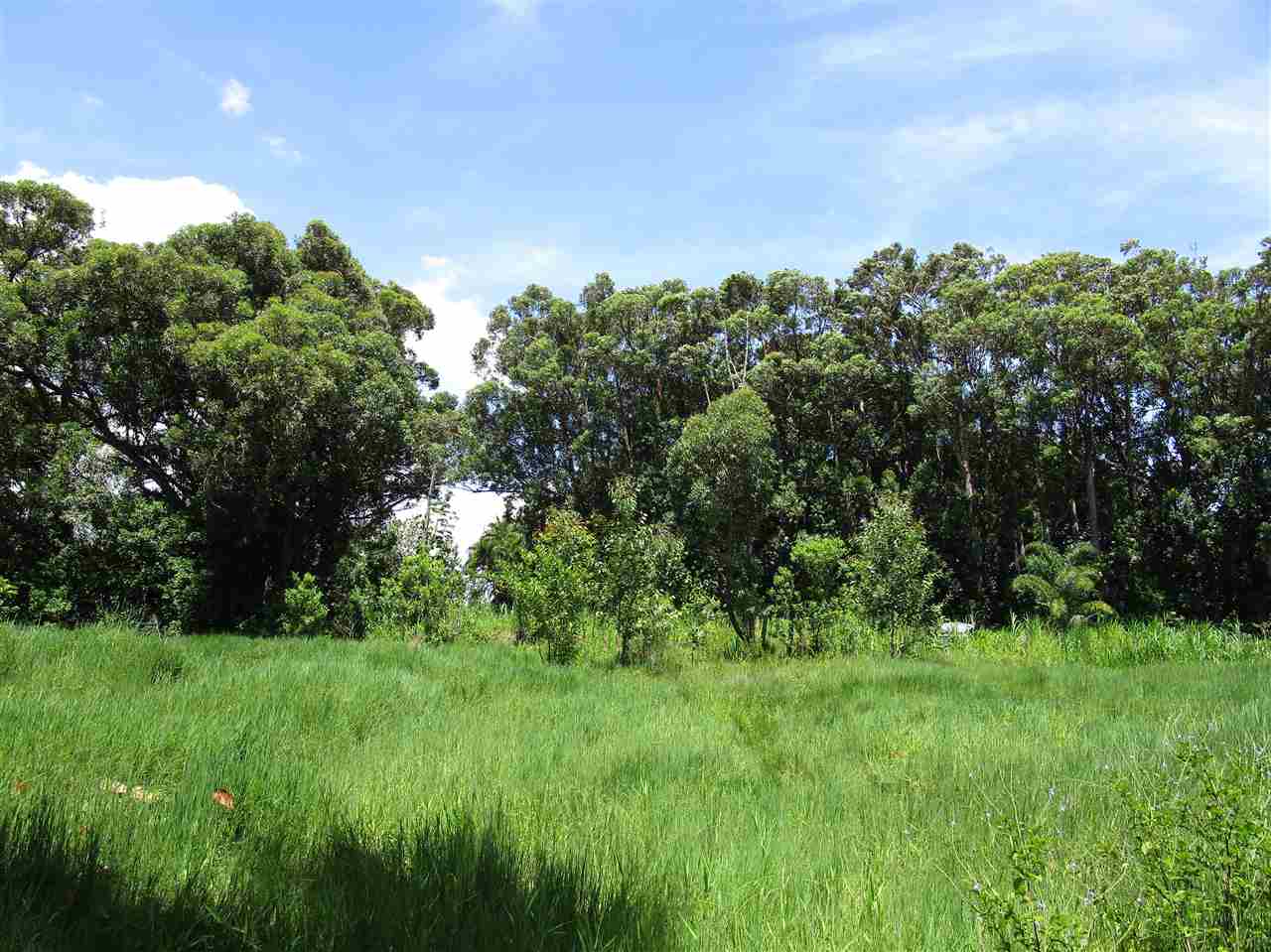 0 East Kuiaha Road Haiku, HI 96708 - Photo 4 of 12 a view of a lush green space