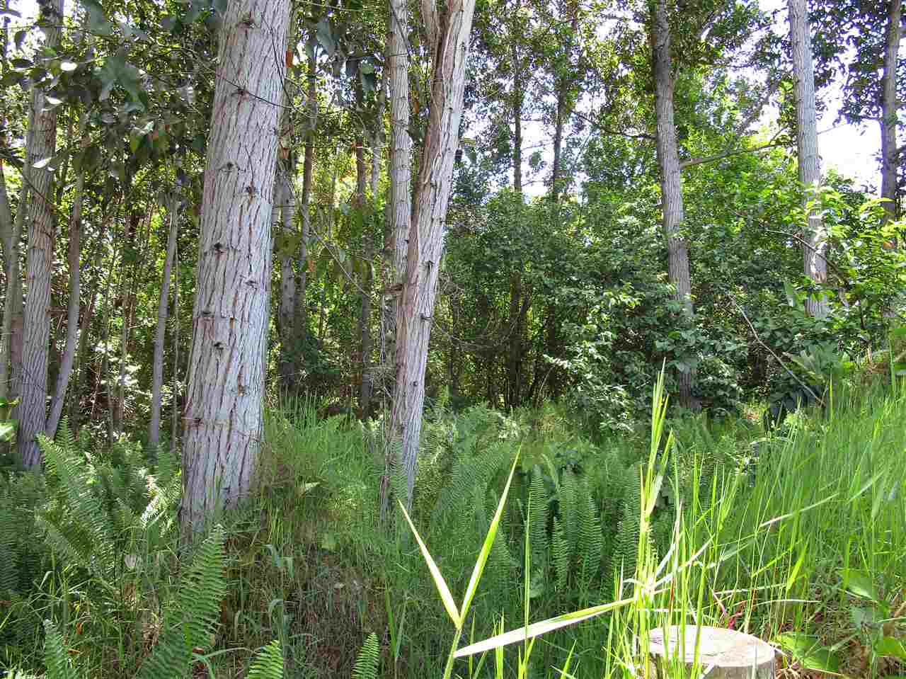 0 East Kuiaha Road Haiku, HI 96708 - Photo 5 of 12 a view of a garden