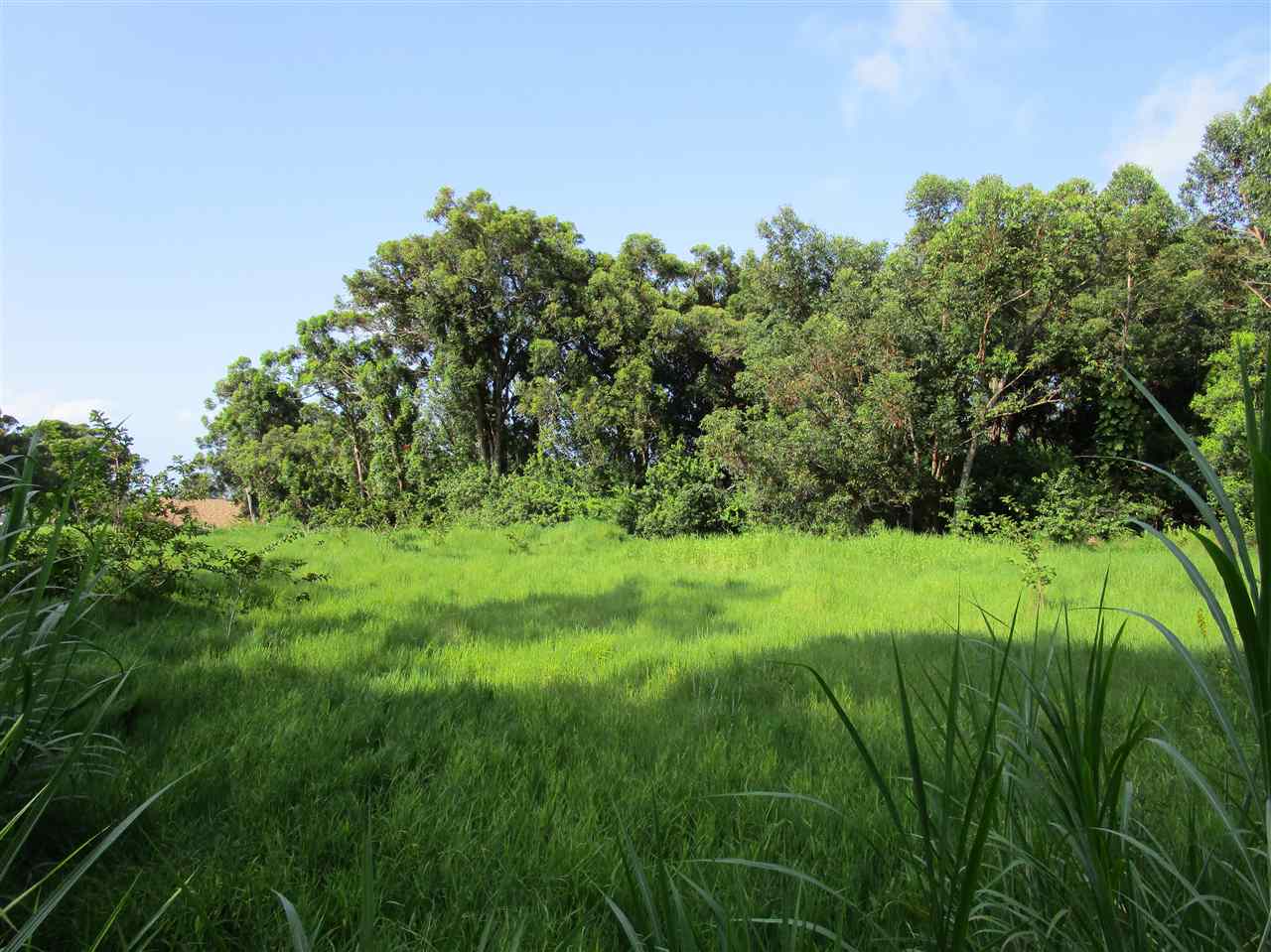 0 East Kuiaha Road Haiku, HI 96708 - Photo 10 of 12 a view of a garden