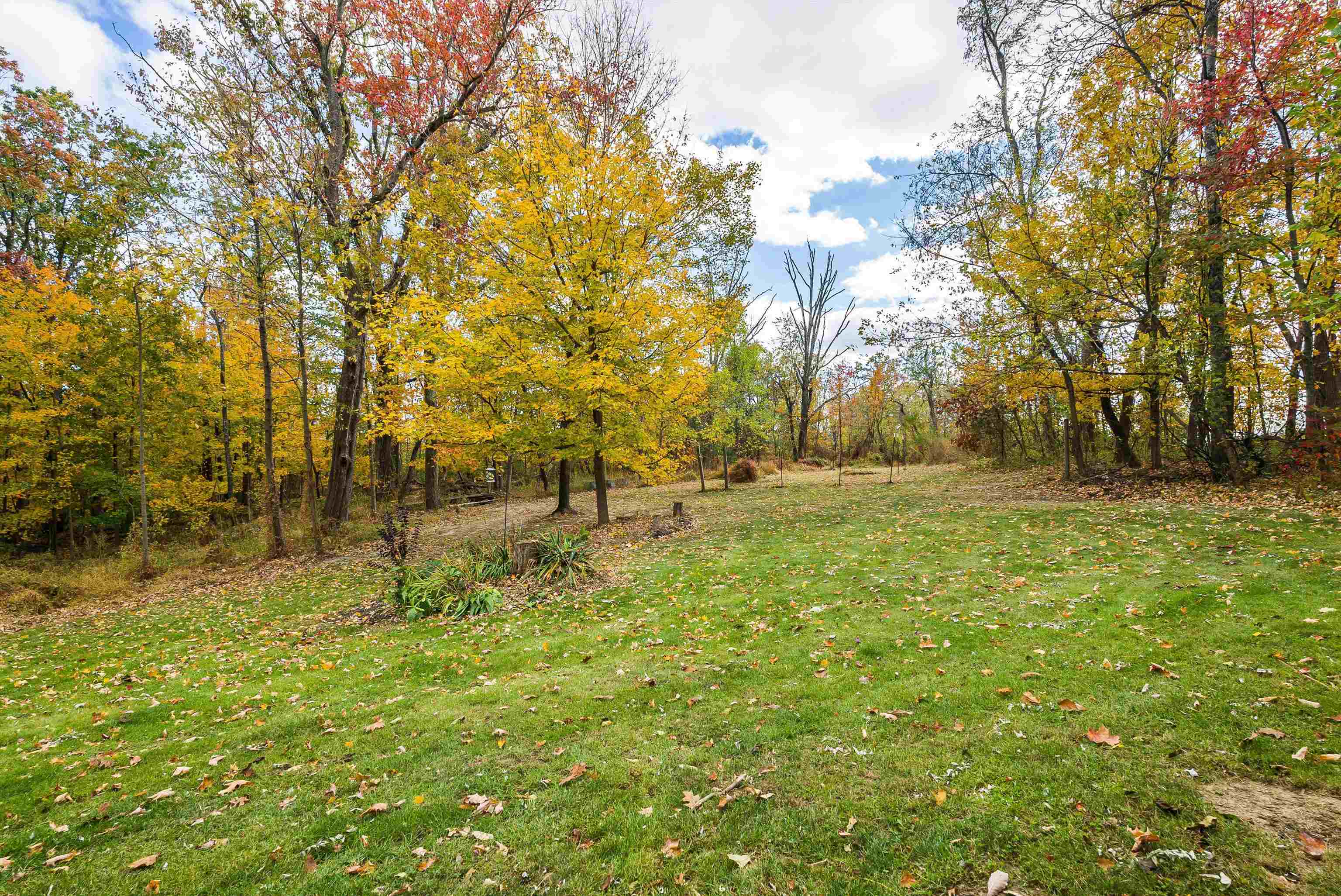 8499 Copperhead Road Singers Glen, VA 22850 - Photo 55 of 75 a view of outdoor space with a garden