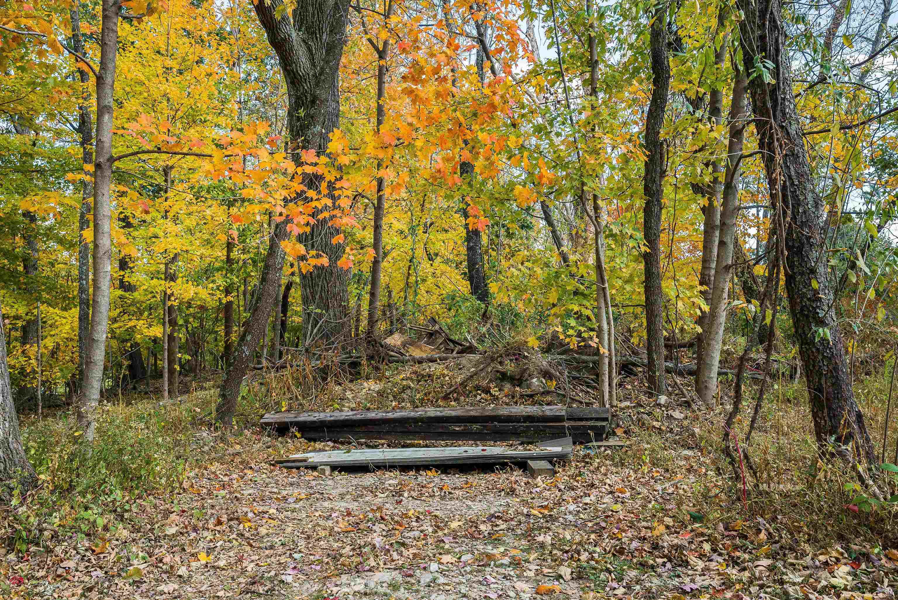 8499 Copperhead Road Singers Glen, VA 22850 - Photo 58 of 75