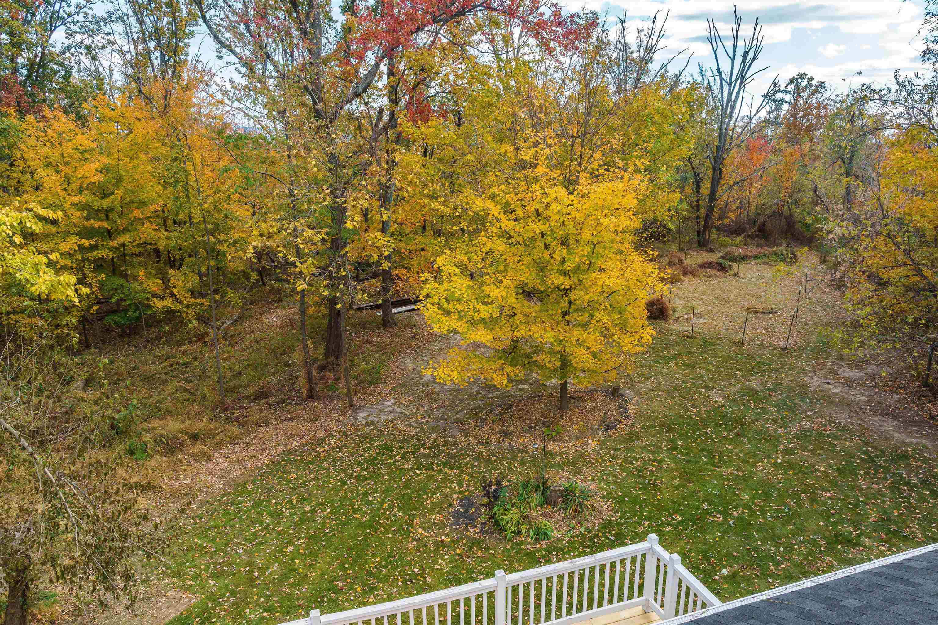 8499 Copperhead Road Singers Glen, VA 22850 - Photo 66 of 75 a view of balcony with a tree