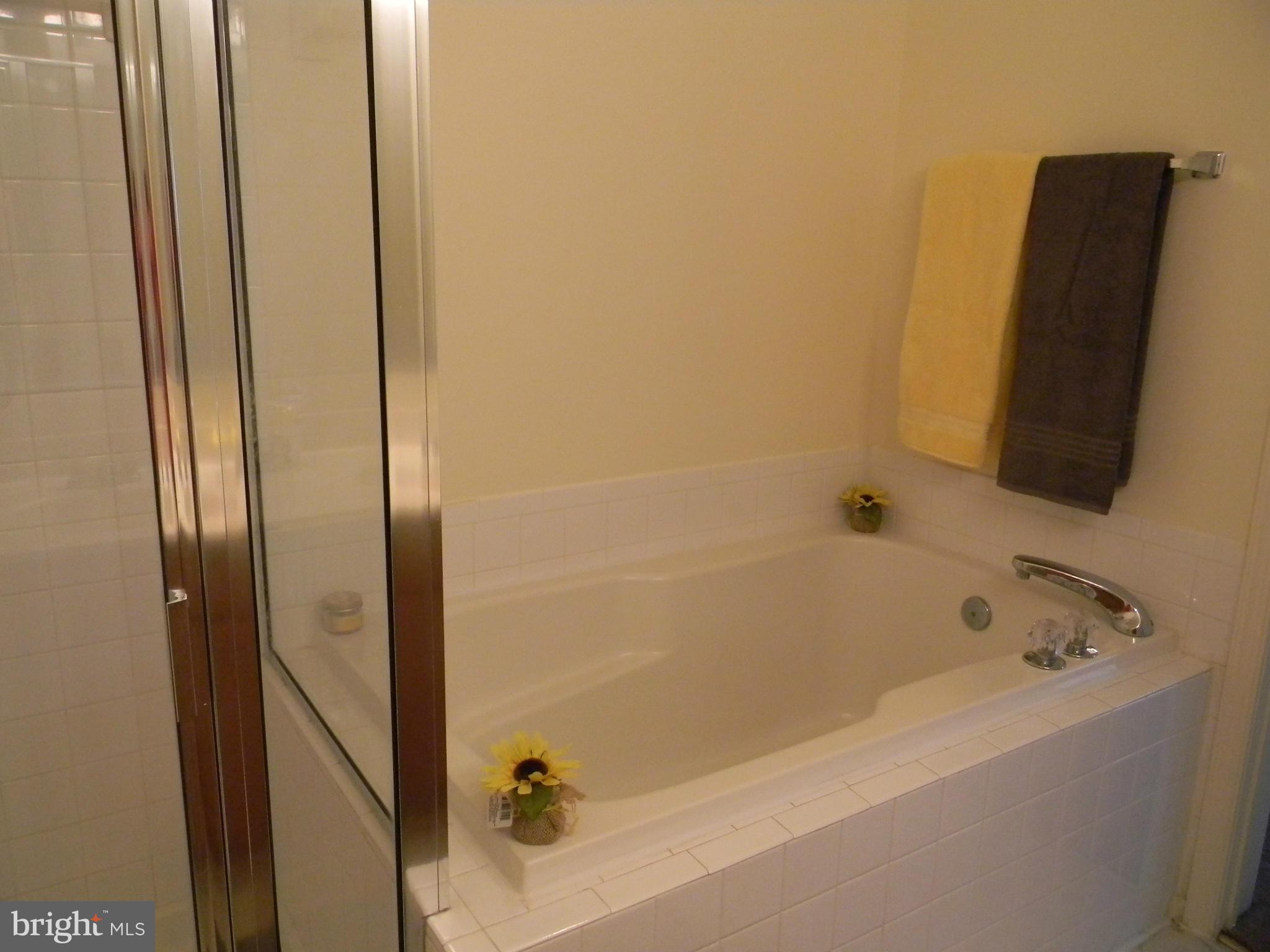 2011 Cramer Point Court Odenton, MD 21113 - Photo 17 of 30 Soaking Tub In Master Bath