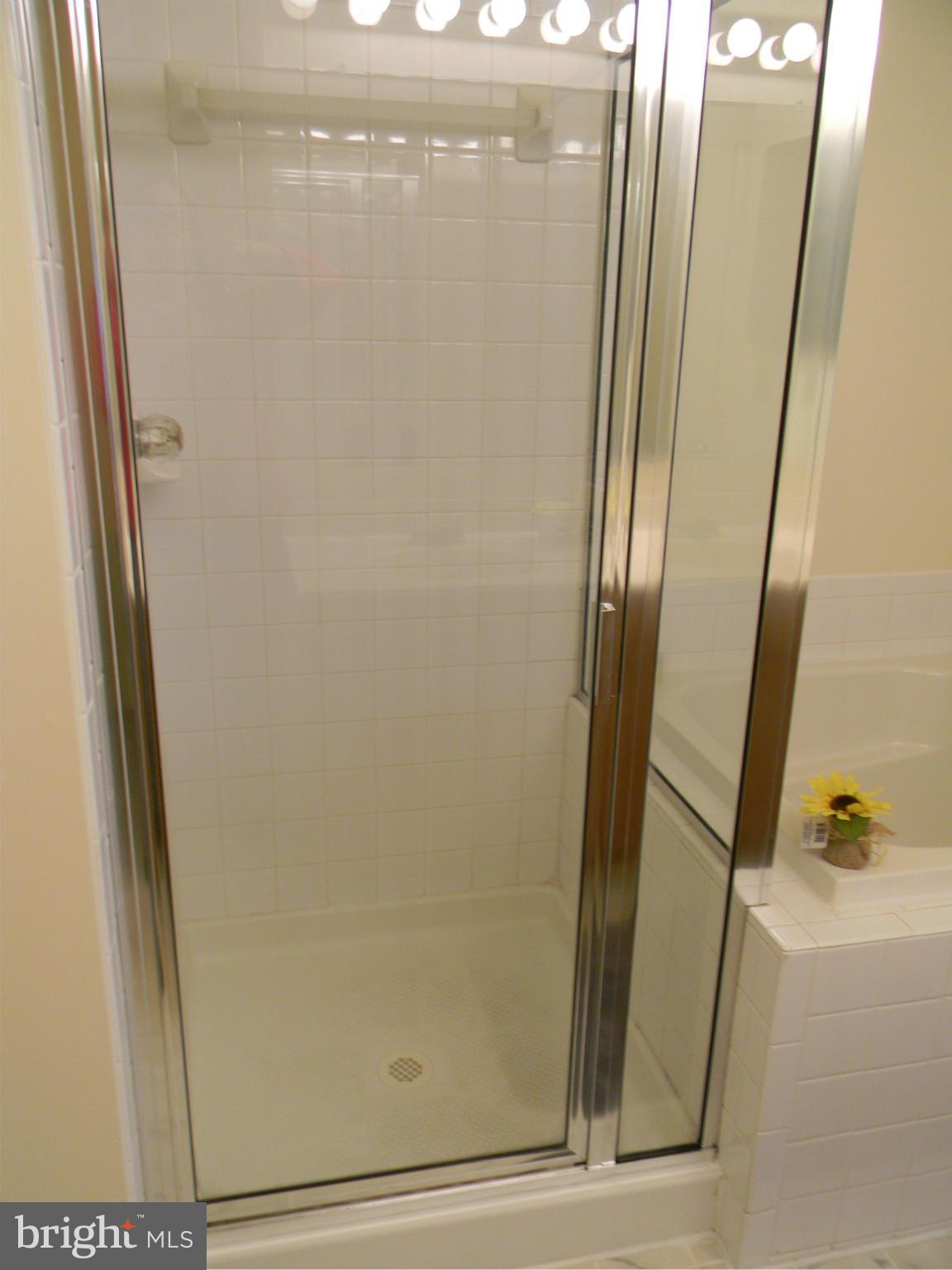 2011 Cramer Point Court Odenton, MD 21113 - Photo 18 of 30 Separate Shower In Master Bath