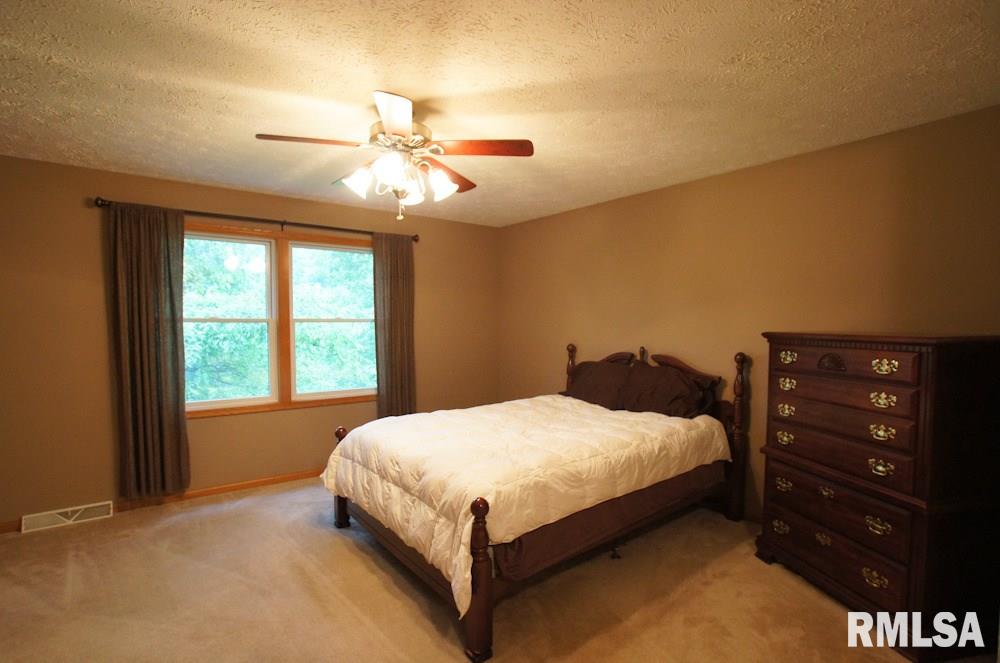 29250 North Indian Trail Road Canton, IL 61520 - Photo 16 of 36 Gallery Image 16
