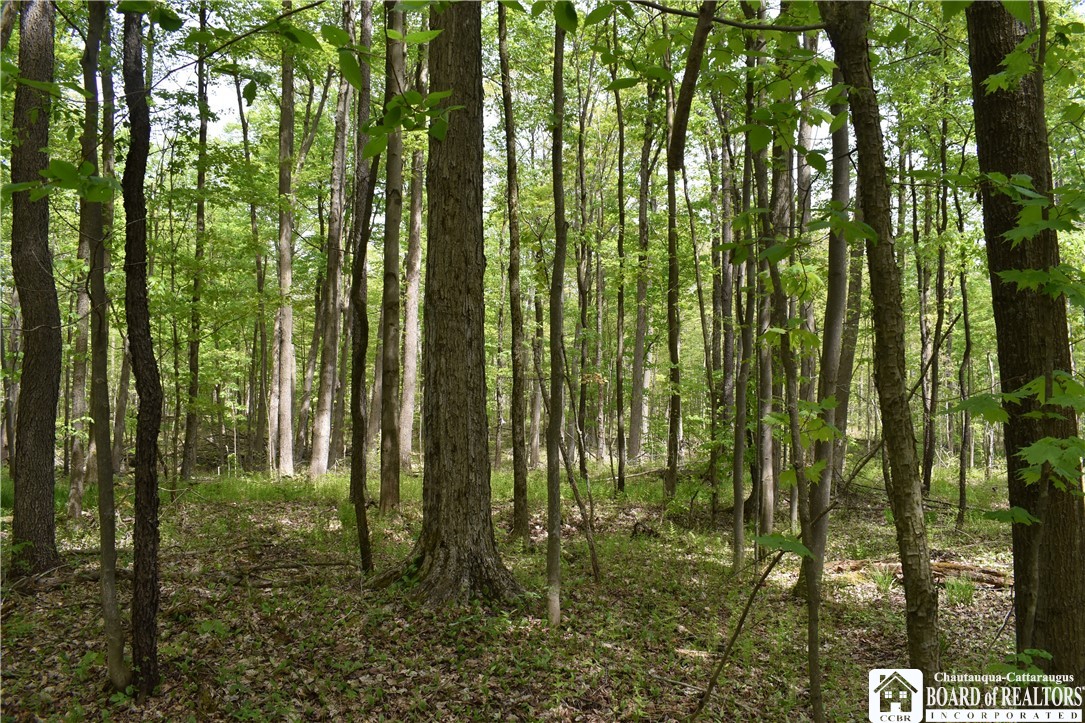 0 Old Chautauqua Road Gerry, NY 14740 - Photo 1 of 1 Gallery Image 1