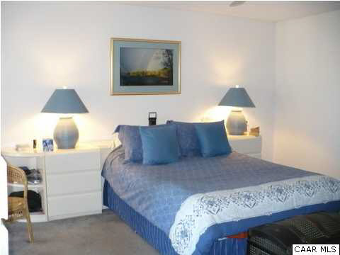 2 Laguna Road Palmyra, VA 22963 - Photo 16 of 31 a bedroom with a bed and a lamp