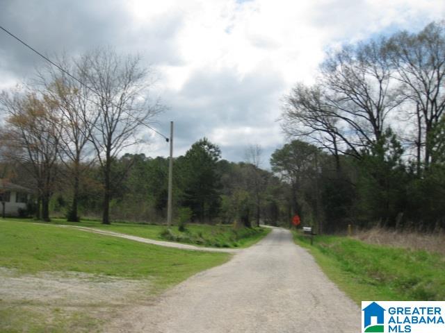 130 Orangewood Circle Calera, AL 35040 - Photo 30 of 30