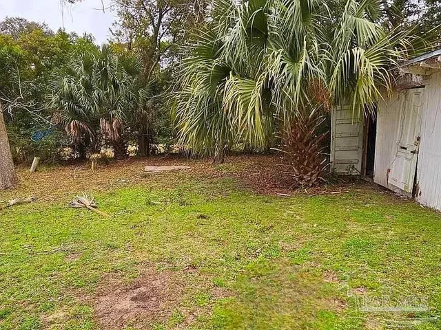 a view of a yard with palm trees