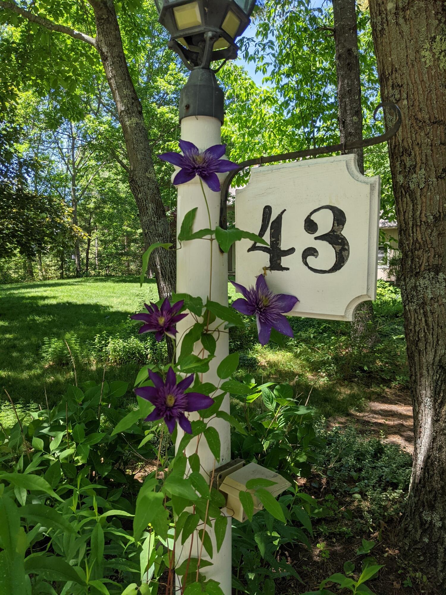43 Longmeadow Road Scarborough, ME 04074 - Photo 50 of 55 471327277_10162654010424604_147850881067