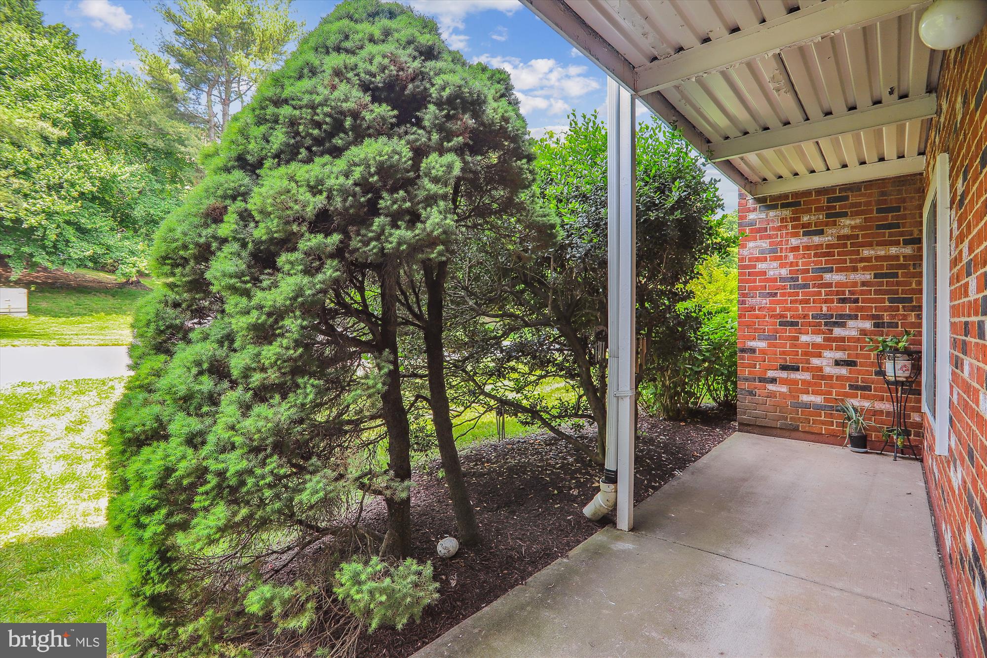 3511 Forest Edge Drive, Unit 171B Silver Spring, MD 20906 - Photo 5 of 66 Patio