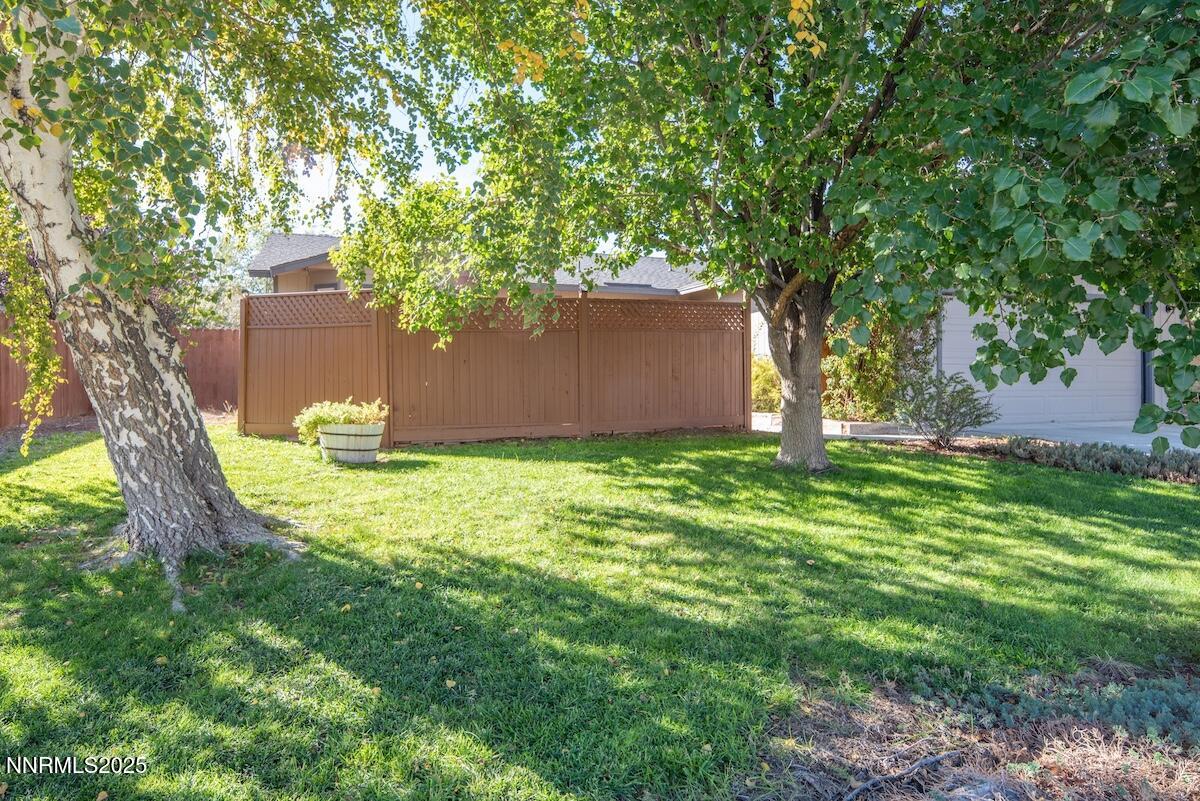 609 Nader Way Fernley, NV 89408 - Photo 3 of 38 a view of a backyard