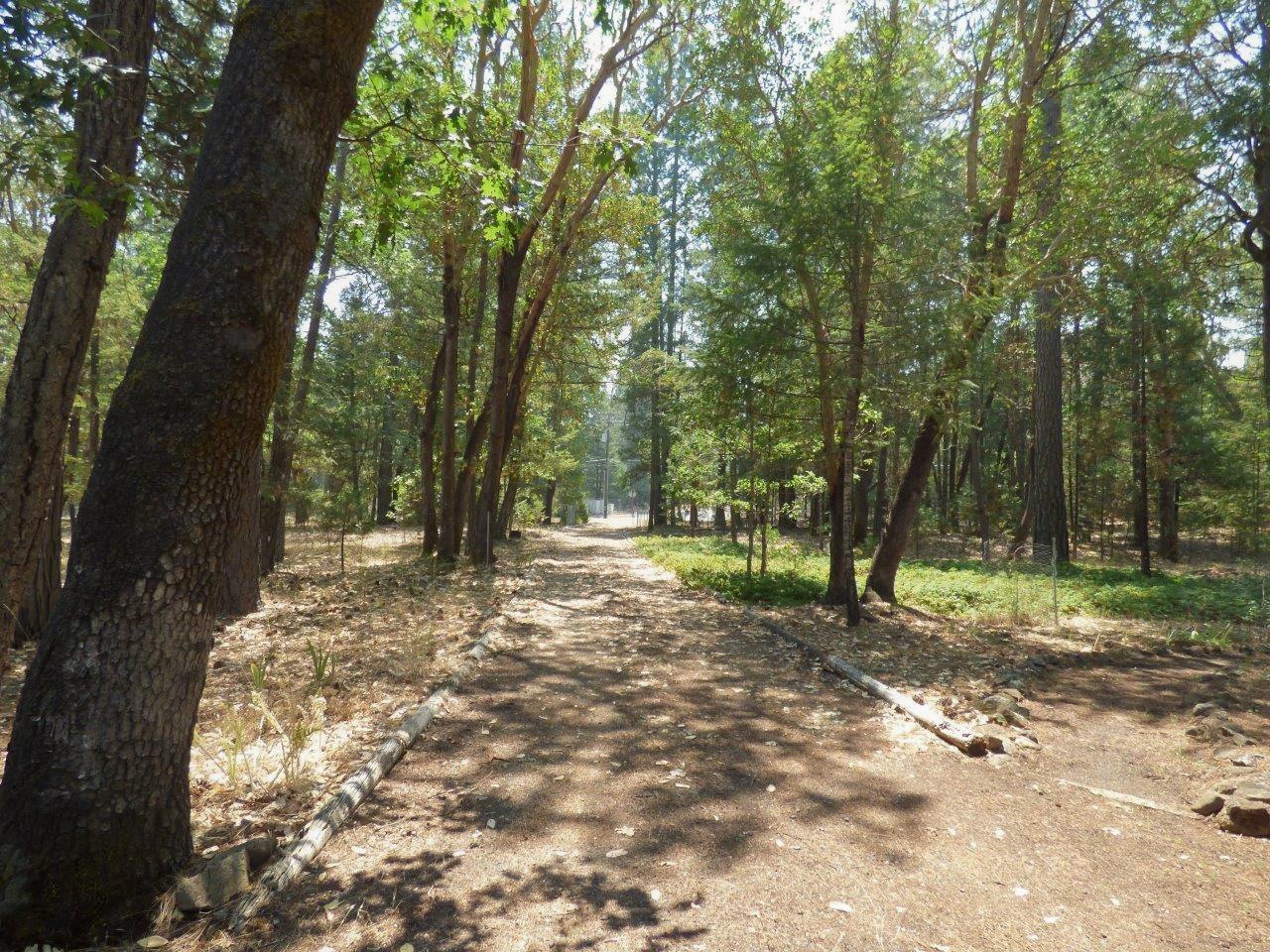 Looking down driveway - Southern Oregon