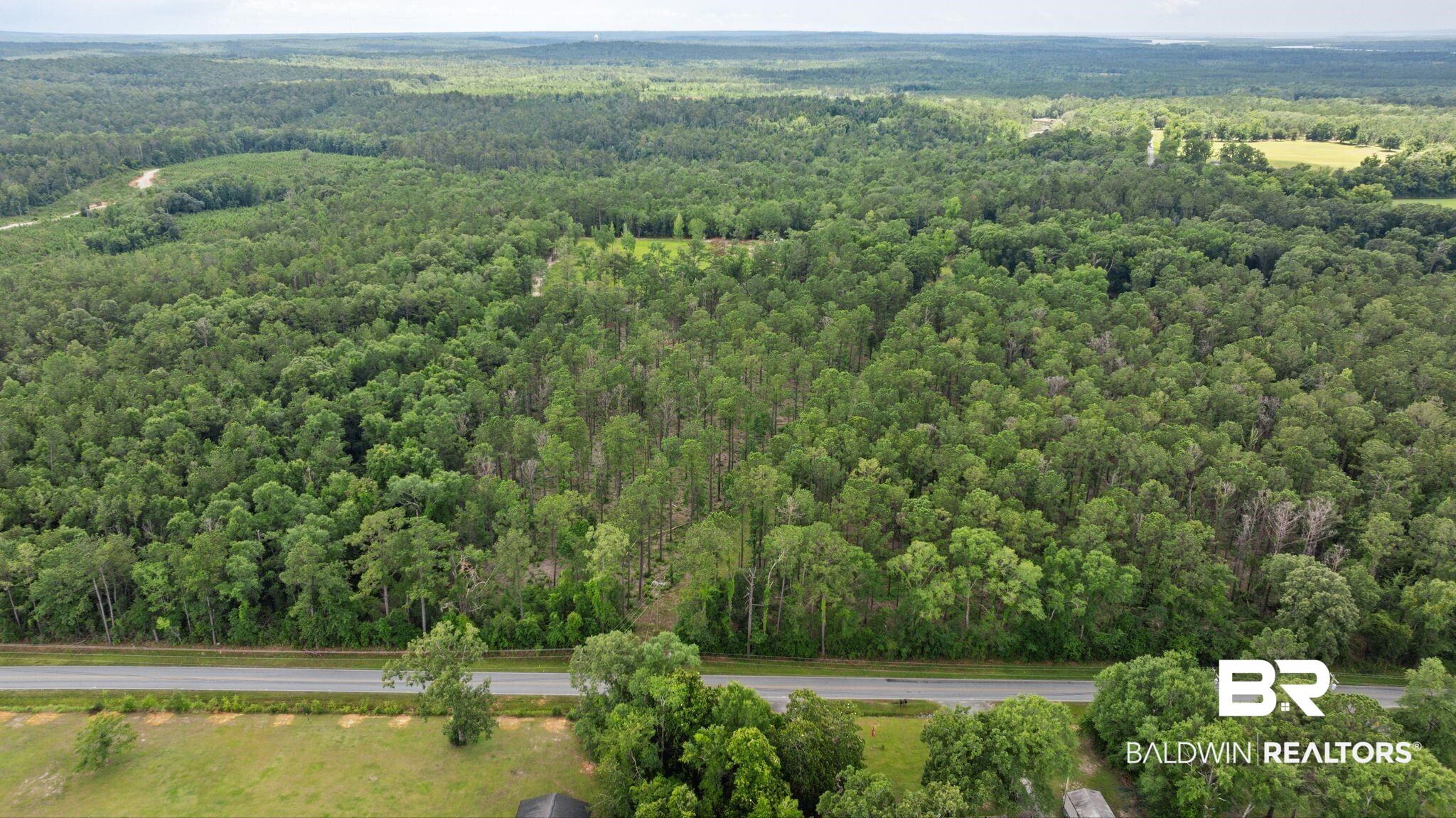 0 Hurricane Road Bay Minette, AL 36507 - Photo 17 of 30