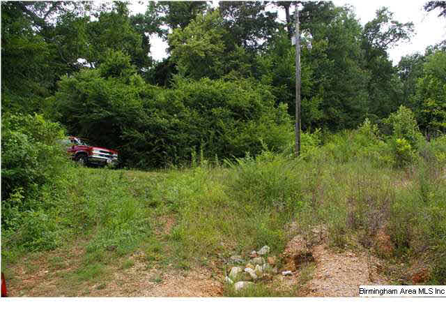 5740 Red Hollow Road Birmingham, AL 35215 - Photo 4 of 10