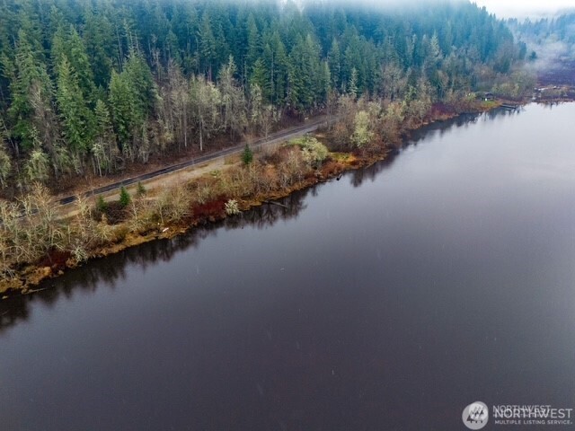 3-4 Orville Road East Eatonville, WA 98328 - Photo 3 of 23