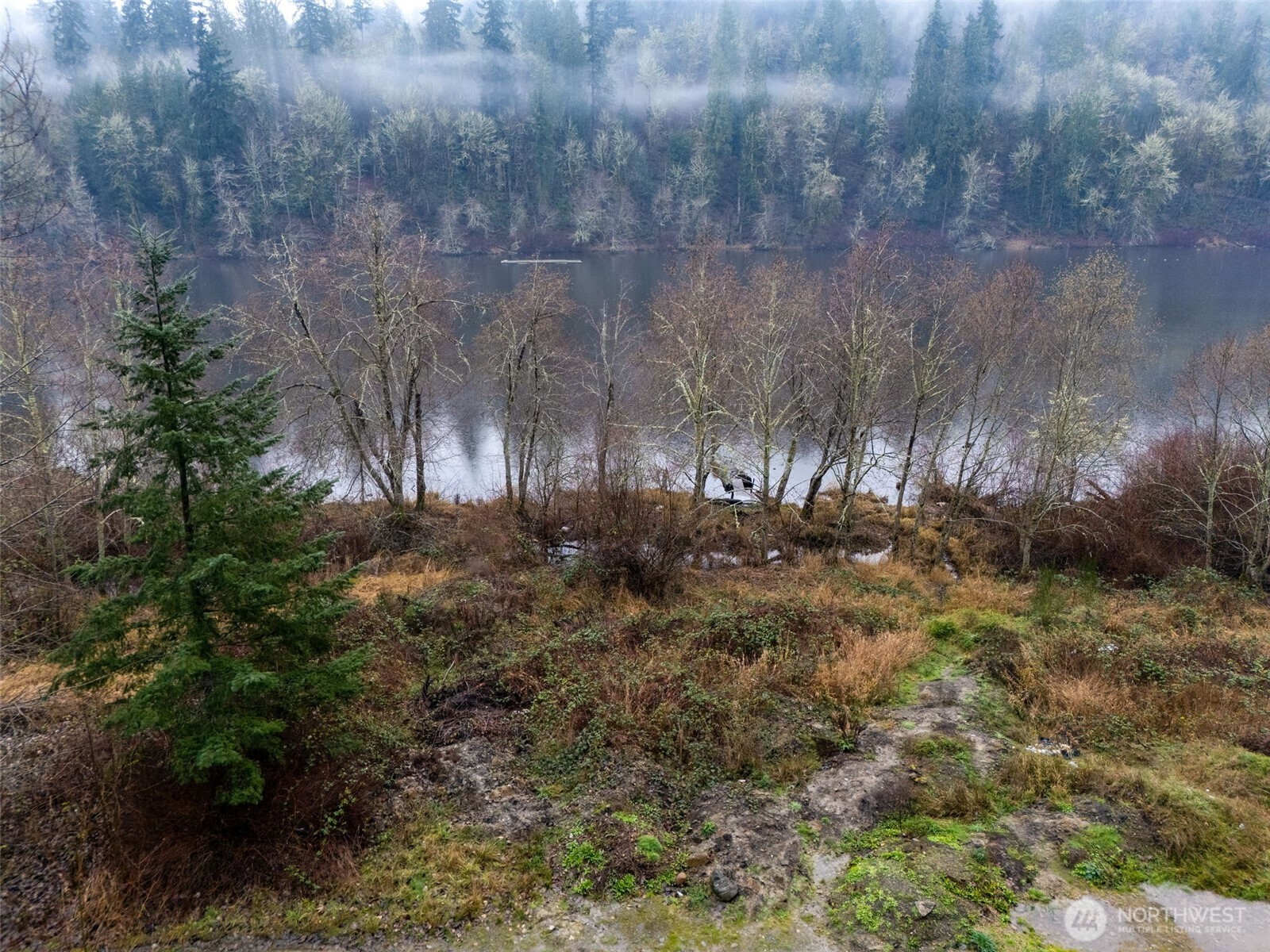 3-4 Orville Road East Eatonville, WA 98328 - Photo 6 of 23