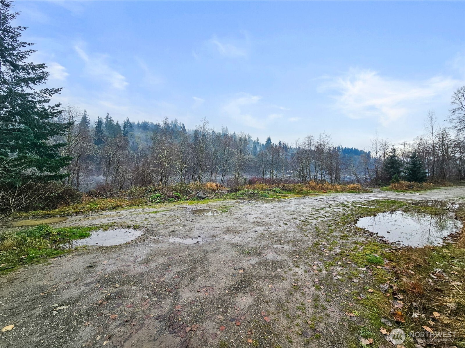 3-4 Orville Road East Eatonville, WA 98328 - Photo 7 of 23