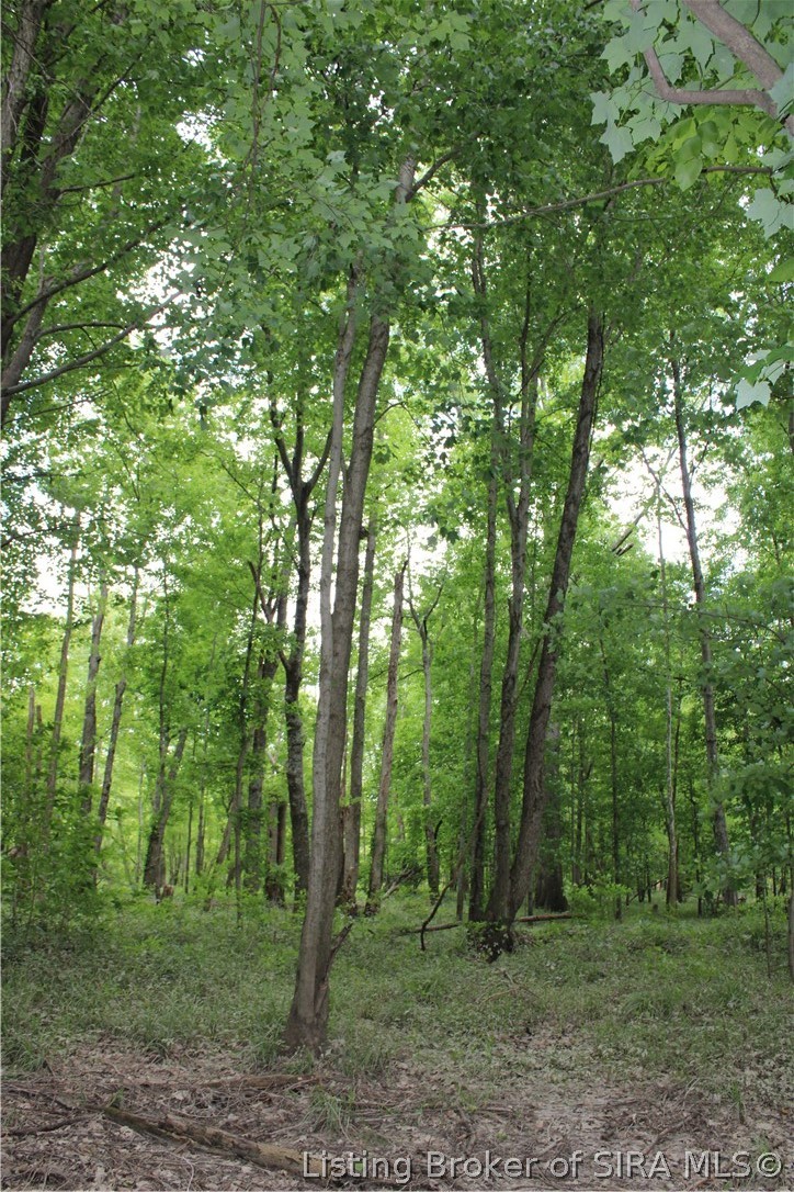 1000 South 1000th Road West Seymour, IN 47274 - Photo 16 of 37