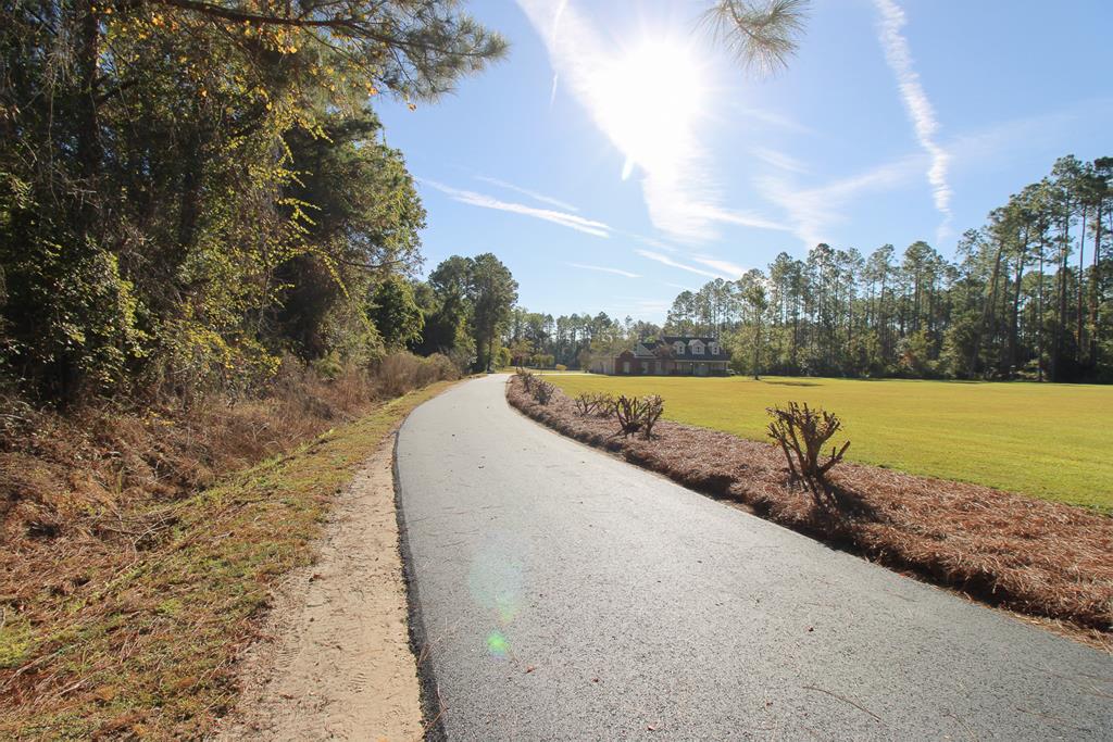 5292 Futch Road Hahira, GA 31632 - Photo 49 of 64 Gallery Image 49