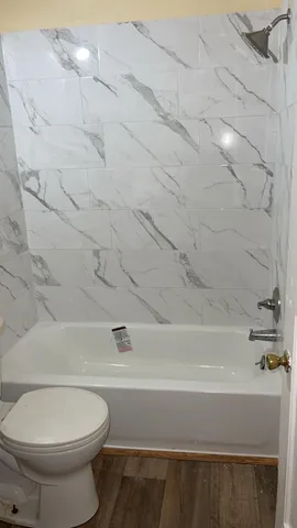 a bathroom with a toilet and a bathtub