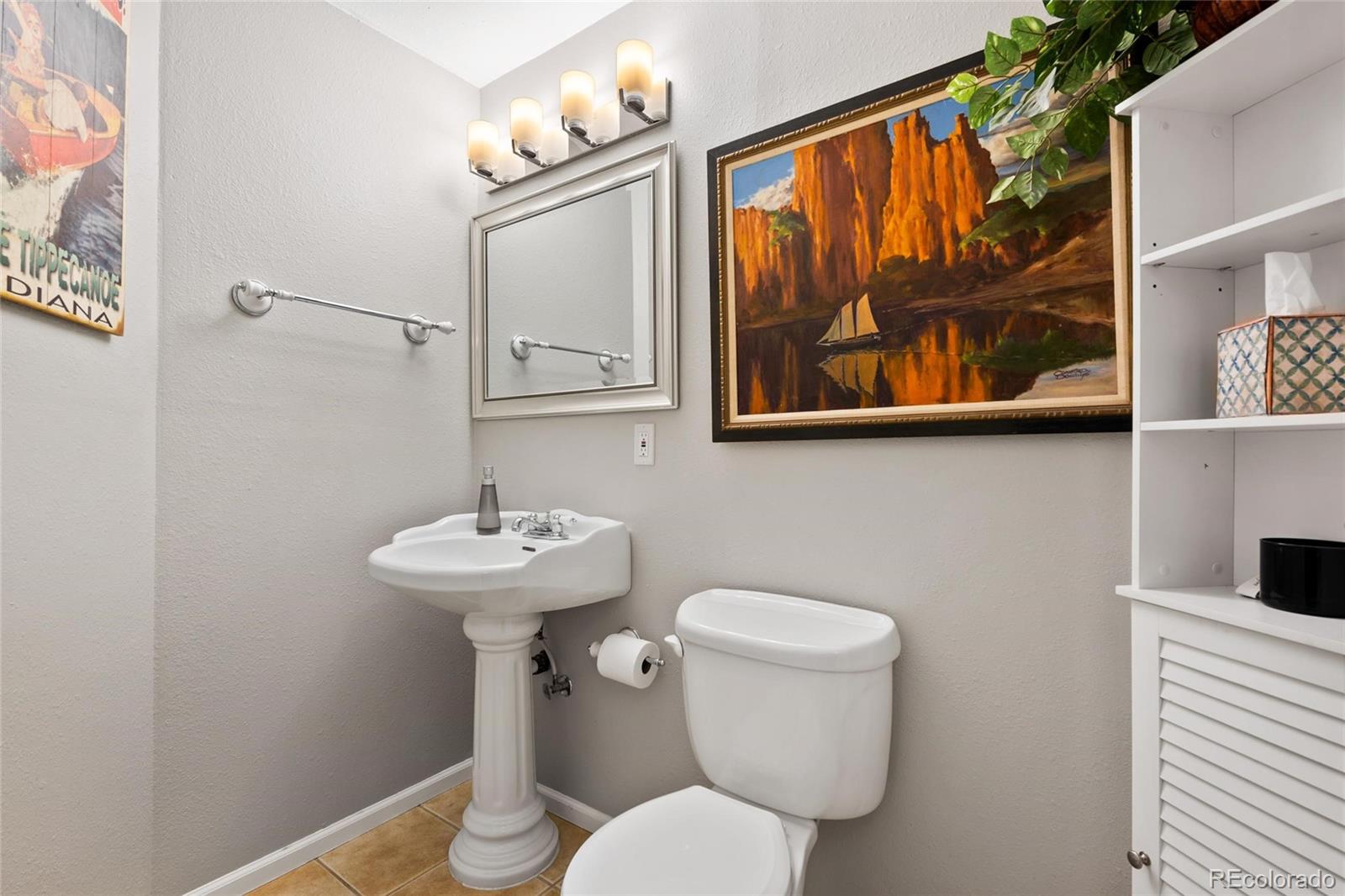 9836 South Castle Ridge Circle Highlands Ranch, CO 80129 - Photo 20 of 28 a bathroom with a toilet a sink and a mirror