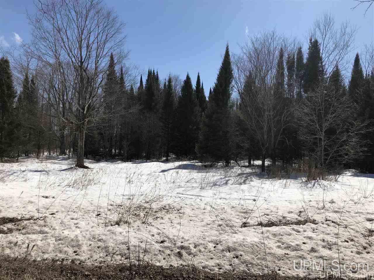 Tbd Tbd Vogel Road Rapid River, MI 49878 - Photo 3 of 6