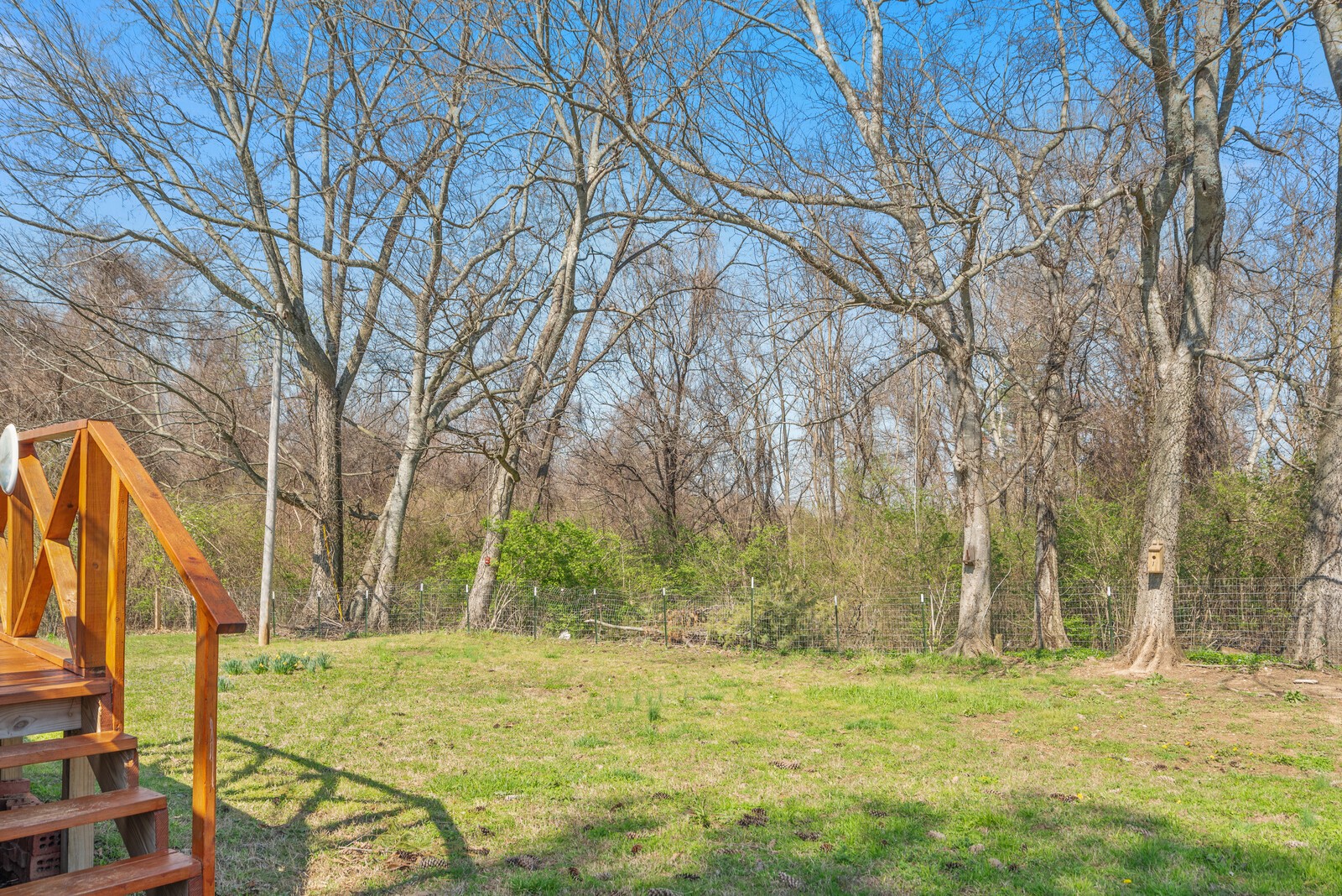 2693 Shellsford Road McMinnville, TN 37110 - Photo 43 of 59 Gallery Image 43