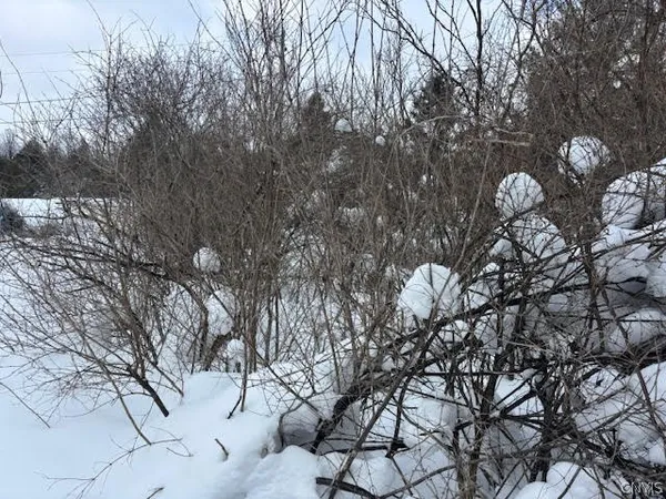 $39,900 | Conklin Drive South, Chaumont, NY 13622