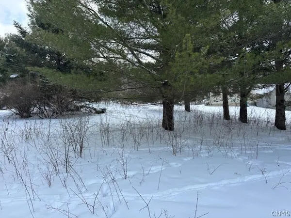 $39,900 | Conklin Drive South, Chaumont, NY 13622