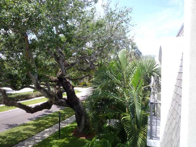 837 Camelia Lane, Unit 7 Vero Beach, FL 32963 - Photo 2 of 20 a plant that is sitting in a yard