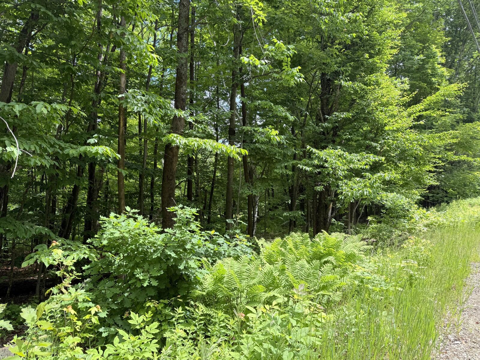 80 Soules Hill Road Jay, ME 04239 - Photo 3 of 3