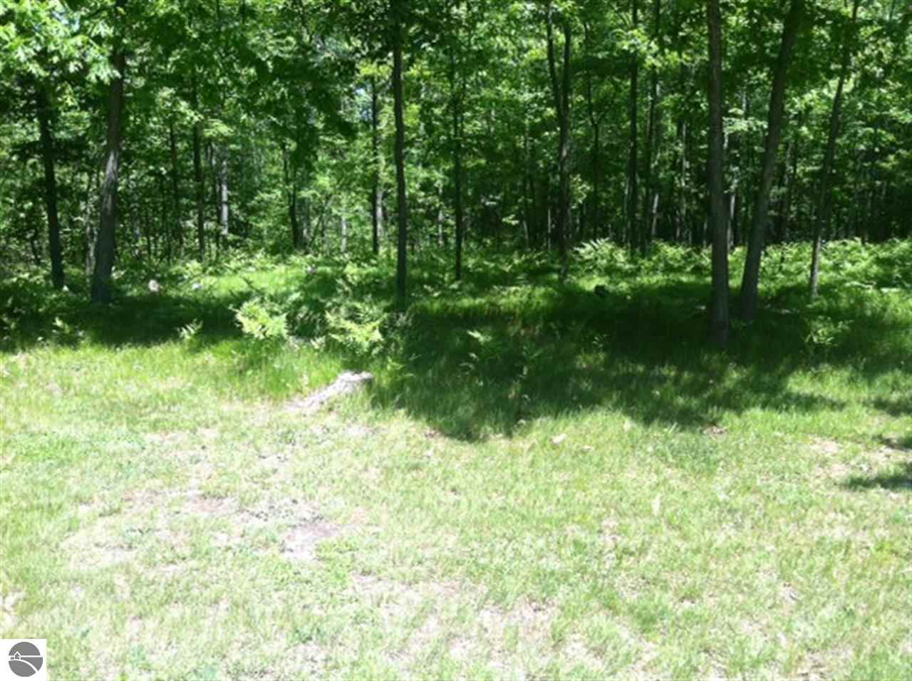 8799 North Gilmore Road Farwell, MI 48622 - Photo 3 of 5 1780179-2.JPG