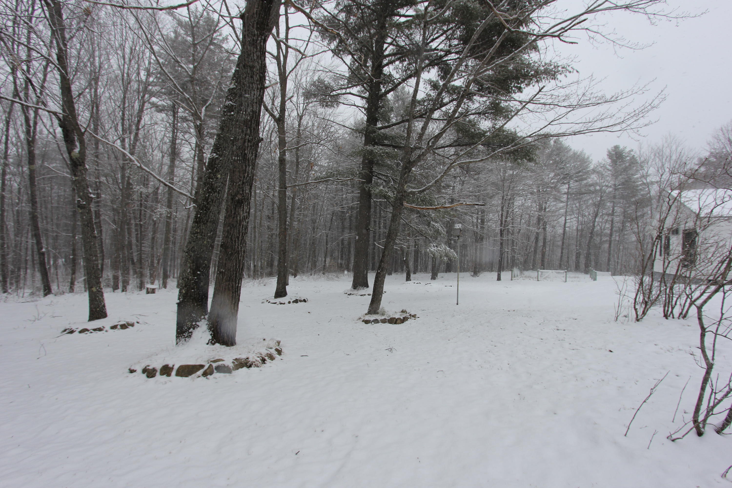 82 Brown Road Poland, ME 04274 - Photo 15 of 16 IMG_9991
