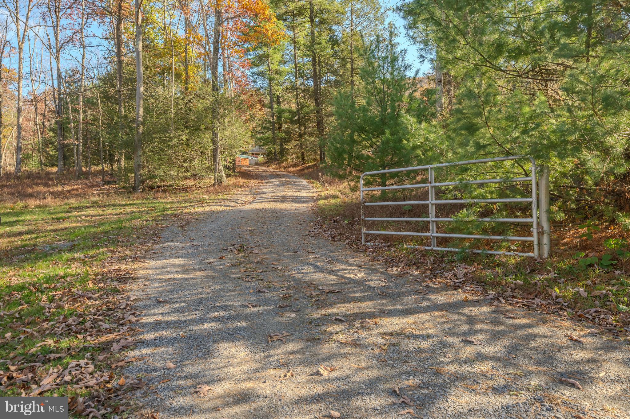 644 Madisonburg Pike Road Madisonburg, PA 16852 - Photo 29 of 44 a view of a house with a yard