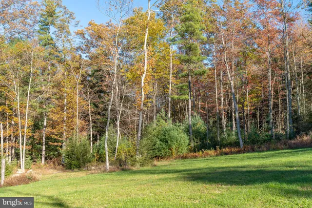 a view of a city with tall trees