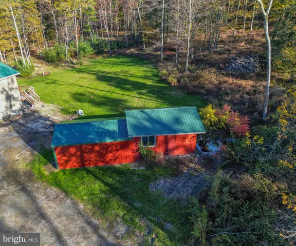 a view of a field with an tree