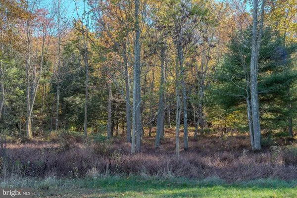 a view of outdoor space and green space