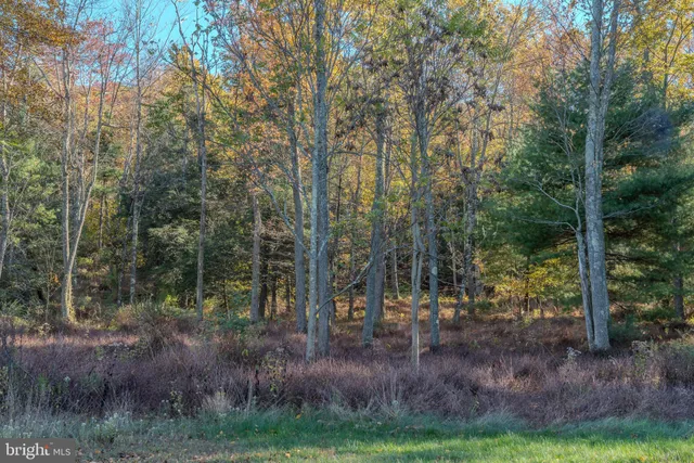 a view of outdoor space and green space