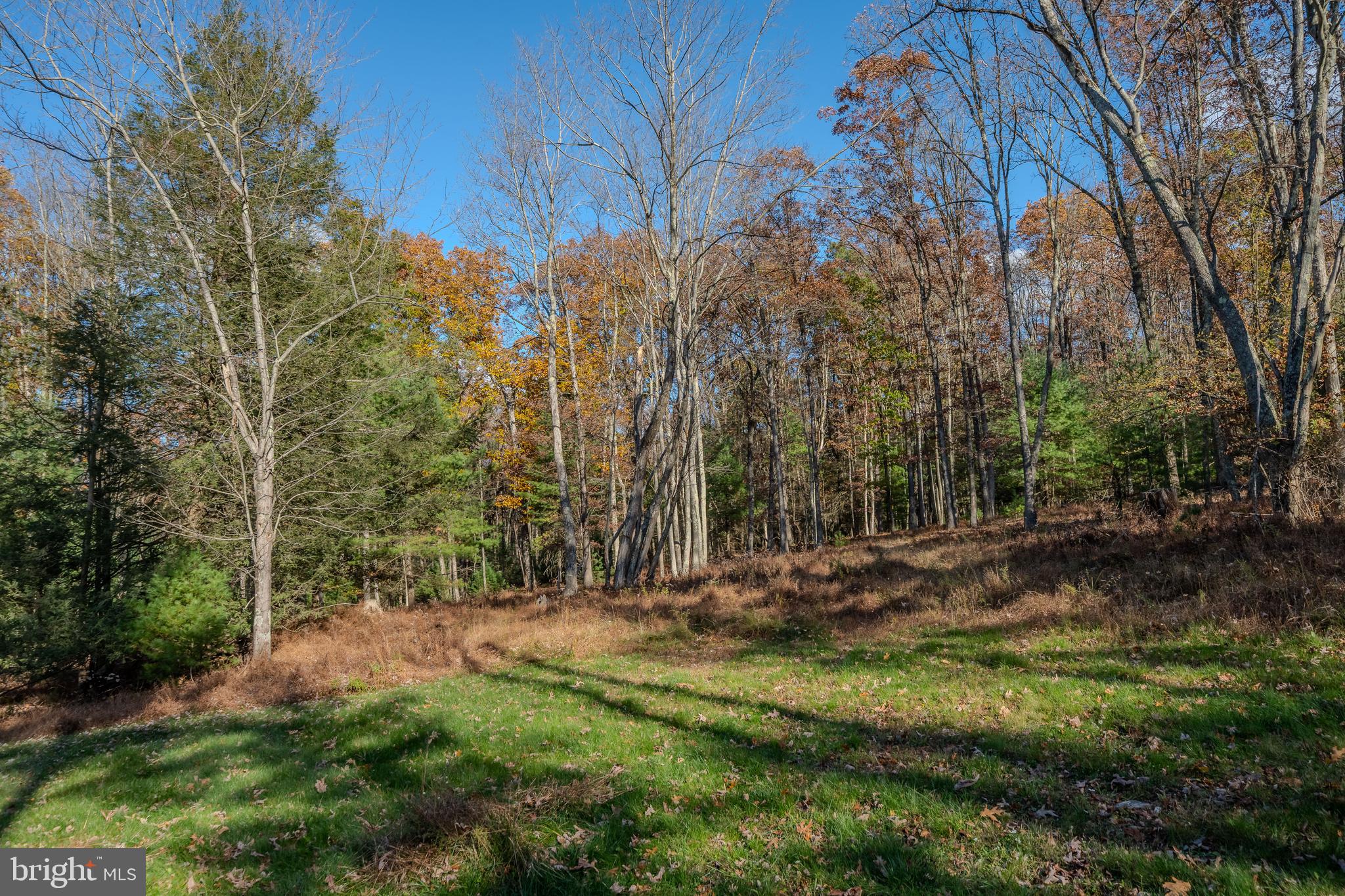 644 Madisonburg Pike Road Madisonburg, PA 16852 - Photo 6 of 44 a view of outdoor space with trees