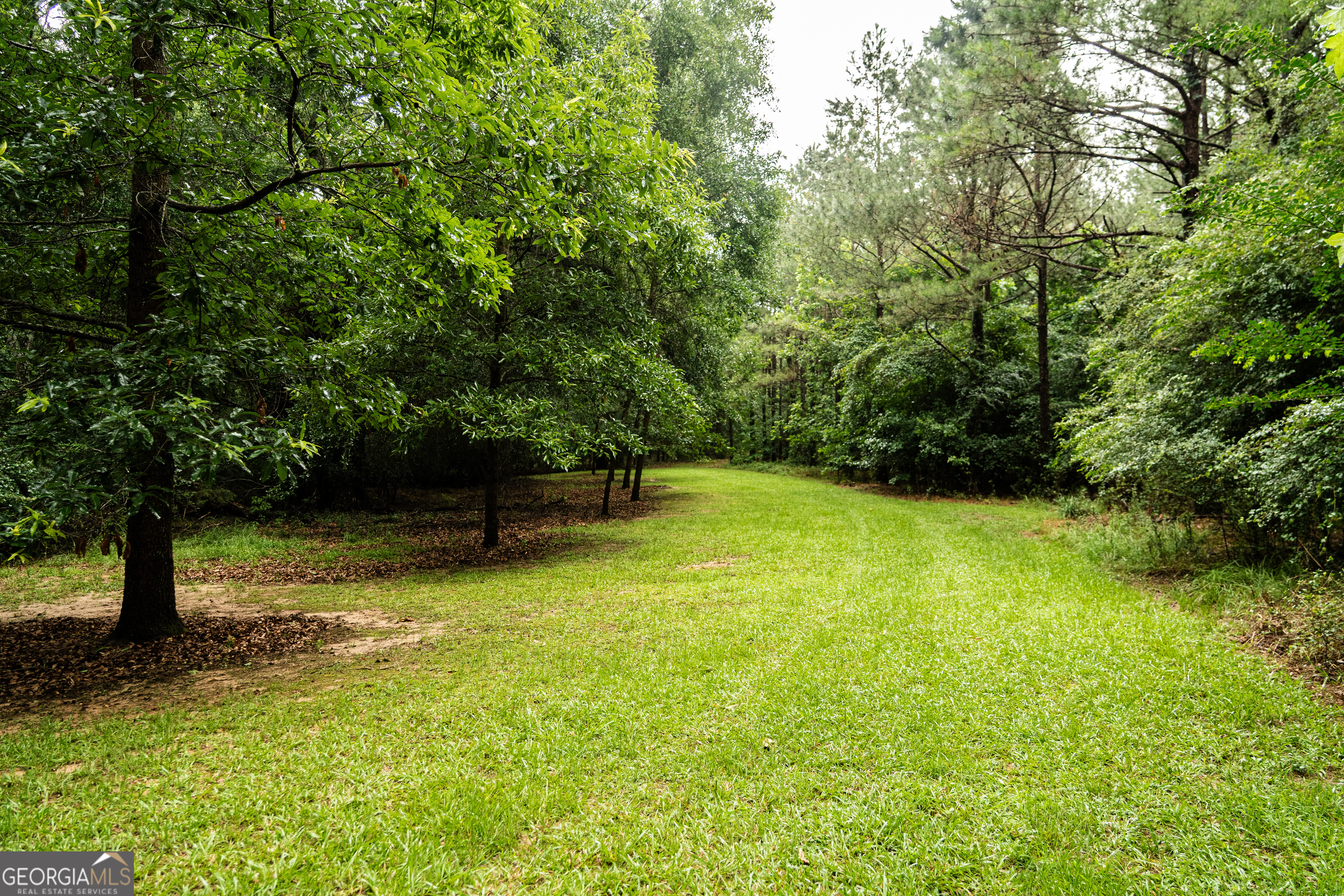 990 Highway 49 Americus, GA 31719 - Photo 62 of 121