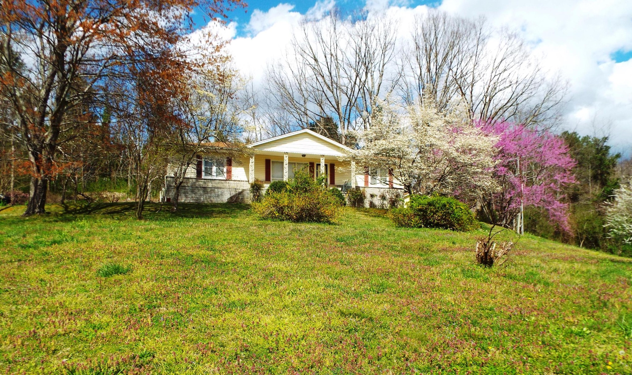 1445 West Cove Road Jamestown, TN 38556 - Photo 1 of 30 a front view of a house with a yard and trees