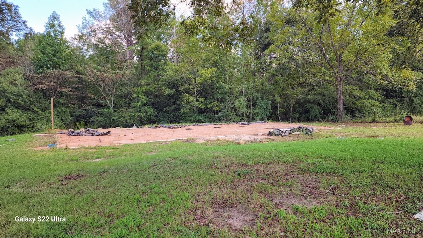 33668 Caraway Road Red Level, AL 36474 - Photo 12 of 15 Gallery Image 12