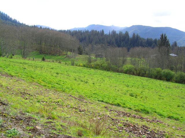 Lot 25 Skyview Road Tillamook, OR 97141 - Photo 13 of 21 P3180349.JPG