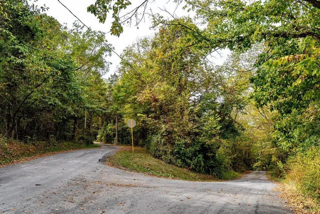 $1,000,000 | Tbd Bald Rock Road, Verona, VA 24482