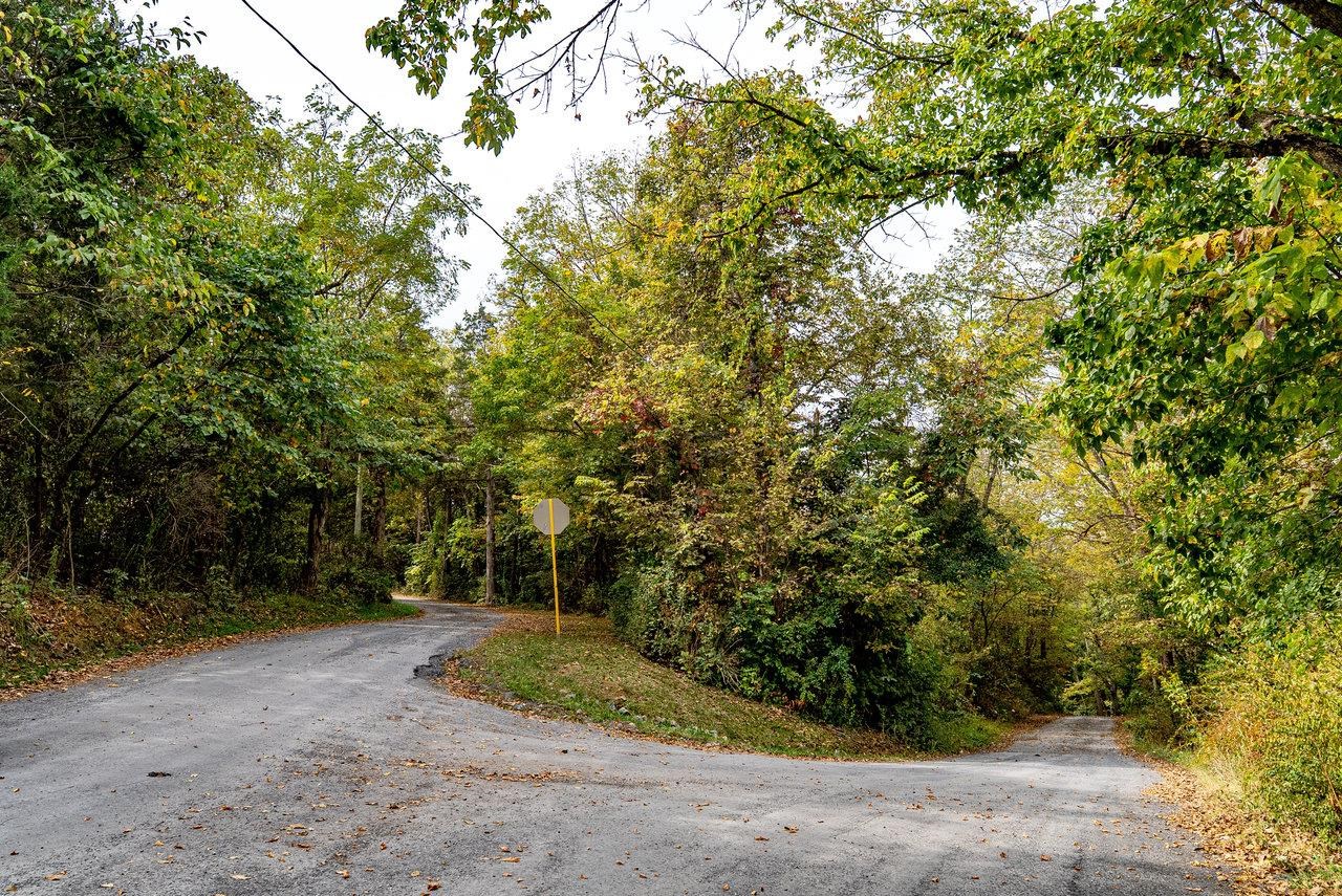 Tbd Bald Rock Road Verona, VA 24482 - Photo 12 of 20