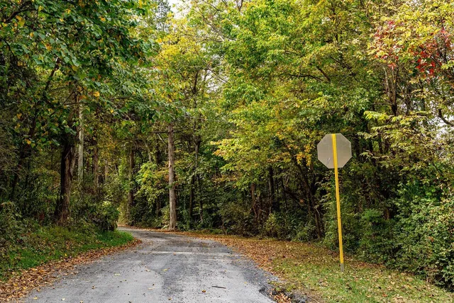 $1,000,000 | Tbd Bald Rock Road, Verona, VA 24482